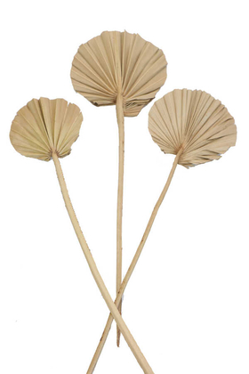 3lü Kuru Tropic Palm Round Naturel - Yapay Çiçek Deposu
