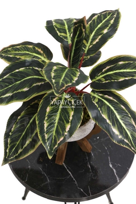 Ahşap Ayaklı Beton Saksida Yapay Fittonia Bitkisi Bitkisi 45 cm (Yeşil-Kızıl) - 2