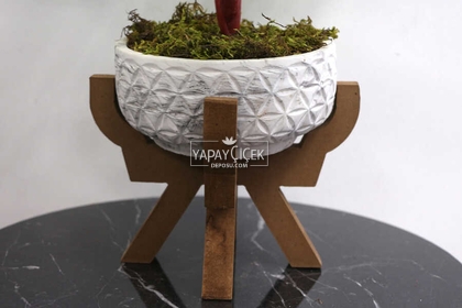 Ahşap Ayaklı Beton Saksida Yapay Fittonia Bitkisi Bitkisi 45 cm (Yeşil-Kızıl) - 3