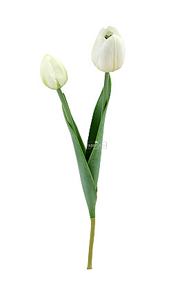 Yapay Çiçek Islak Kraliyet Safiri 2li Lale Dalı 60 cm Beyaz - 3