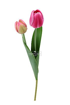 Yapay Çiçek Islak Kraliyet Safiri 2li Lale Dalı 60 cm Canlı Pembe - 3
