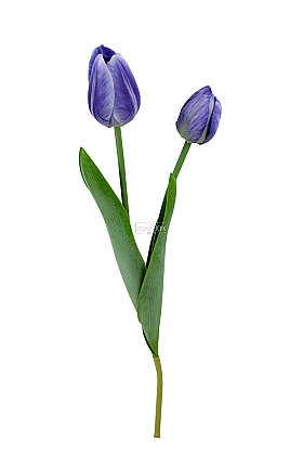 Yapay Çiçek Islak Kraliyet Safiri 2li Lale Dalı 60 cm Mor - 3