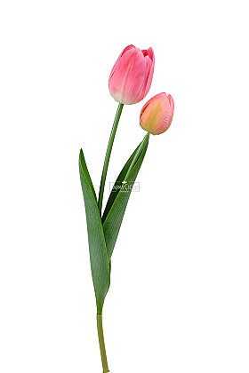 Yapay Çiçek Islak Kraliyet Safiri 2li Lale Dalı 60 cm Pembe - 3