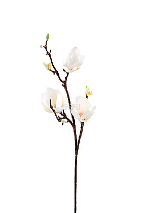 Yapay Çiçek Maison Manolya Dalı 95 cm Beyaz - 3