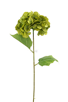 Yapay Çiçek Matin Ortanca Dalı 60 cm Yeşil - 3