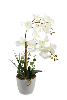 Yapay Çiçek Plastik Saksıda 2li Orkide Tanzim Beyaz 75 cm - 2