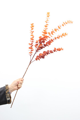 Yapay Retro Pastel Okaliptus Dalı 80 cm Kızıl-Turuncu - 2