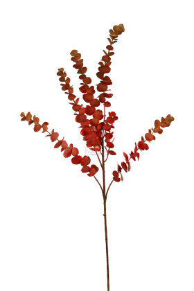 Yapay Retro Pastel Okaliptus Dalı 80 cm Kızıl-Turuncu - 3
