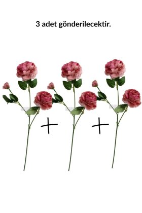 Yapay Çiçek Pastel 3 Adet Çöl Gülü 60 cm Gül Kurusu - 3
