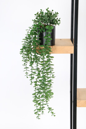 Yapay Çiçek Sarkıt Okaliptüs Saksılı 60 cm - 1