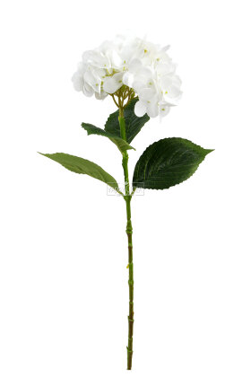 Yapay Çiçek Serene Islak Ortanca Dalı 68 cm Beyaz - 3