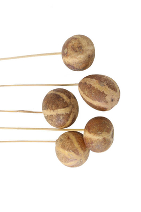 5li Kuru Bel Melenoy on Stem - 2