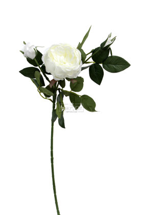 Yapay Çiçek Tomurlu Santa Gülü Dalı 75 cm Beyaz - 2
