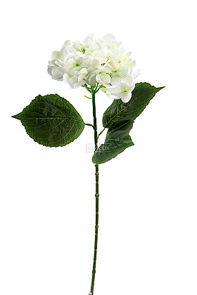 Yapay Çiçek Islak Towa Ortanca Dalı 65 cm Beyaz - 3