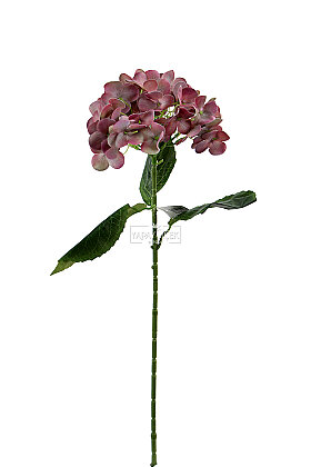 Yapay Çiçek Islak Towa Ortanca Dalı 65 cm Gül Kurusu - 3
