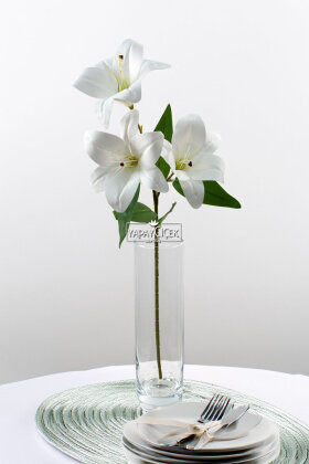 Yapay Çiçek 3 Başlı Lüx Islak Kazablanka Dalı 60 cm Beyaz - 2