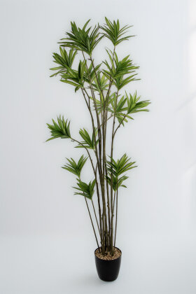 Yapay Ağaç Çok Kollu Japon Dracaena Ağacı 205 cm - 2