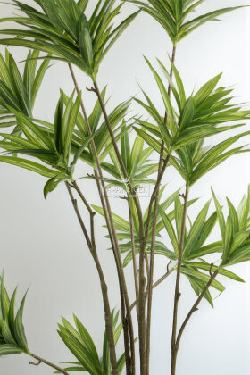 Yapay Ağaç Çok Kollu Japon Dracaena Ağacı 205 cm - 3