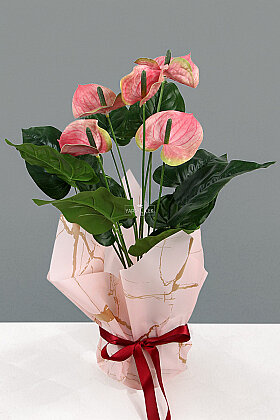  Yapay Coralia Özel Gün Antoryum Bitkisi Tanzimi 55 cm Pembe - 3