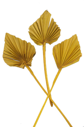 3lü Kuru Tropic Palm Spear Hardal Sarı - Yapay Çiçek Deposu