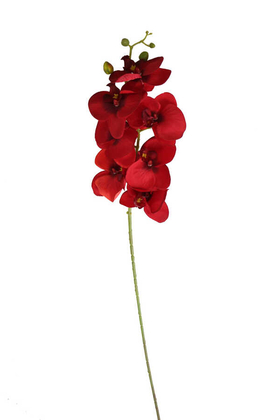 Yapay Dal Orkide Çiçeği 75 cm Kırmızı - 2