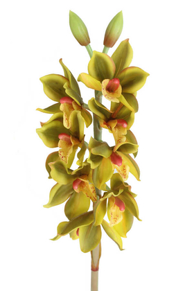 Yapay DeLüx Islak Singapur Orkidesi 60 cm Fıstık Yeşili - 1