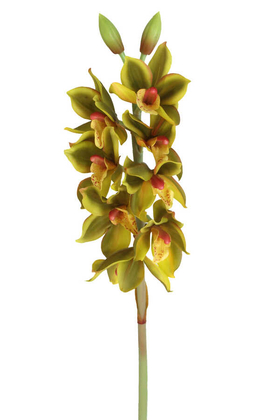 Yapay DeLüx Islak Singapur Orkidesi 60 cm Fıstık Yeşili - 2