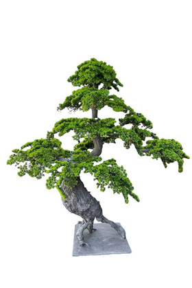 Yapay Lüx Bonsai Ağacı 200 cm KC-3569 - Koçaklar Çiçekçilik