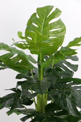 Siyah Saksıda Yapay Deve Tabanı Ağacı 19 Yapraklı 120 cm - 4