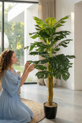 Siyah Saksıda Yapay Deve Tabanı Ağacı 25 Yapraklı 150 cm - Yapay Çiçek Deposu