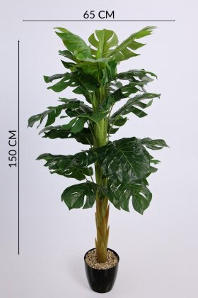 Siyah Saksıda Yapay Deve Tabanı Ağacı 25 Yapraklı 150 cm - 5