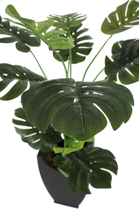 Yapay Deve Tabanı Ağacı 145 cm ( Monstera Deliciosa) - 2