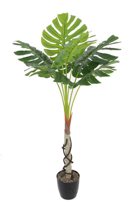 Gövdeli Deve Tabanı Ağacı (monstera Ağacı) 170 cm - Yapay Çiçek Deposu