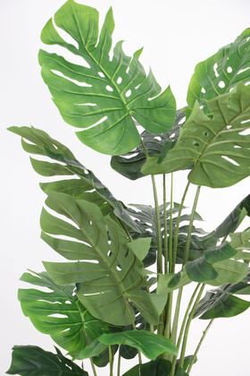 Yapay Deve Tabanı Ağacı (monstera Ağacı) Gerçek Dokulu 21 Yapraklı 170 Cm - 3