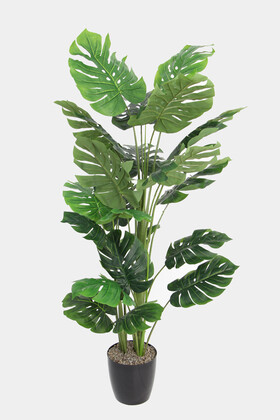 Yapay Deve Tabanı Ağacı (monstera Ağacı) Gerçek Dokulu 21 Yapraklı 170 Cm - Yapay Çiçek Deposu