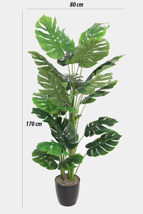 Yapay Deve Tabanı Ağacı (monstera Ağacı) Gerçek Dokulu 21 Yapraklı 170 Cm - 2