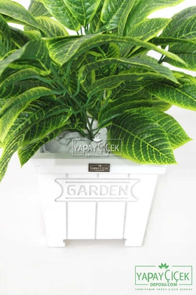 Tropik Dieffenbachia Yapraklı Tanzim - 2