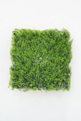 Yapay Kabarık Bitki Duvarı Uv Dış Mekan Garantili 50 x 50 cm Yeşil - 2