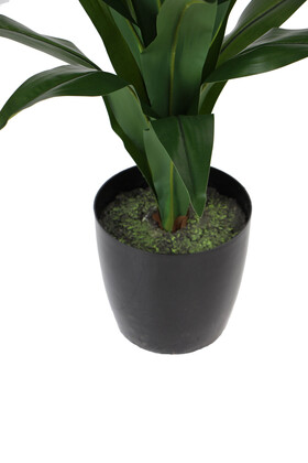 Yapay Ağaç Saksıda Dracaena 100 cm Koyu Yeşil - 2