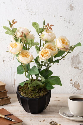 Yapay Estetik Vaha Gül Tanzimi 35 cm Krem - Yapay Çiçek Deposu