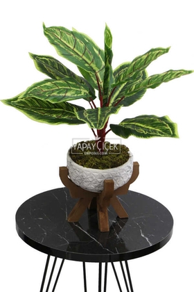 Ahşap Ayaklı Beton Saksida Yapay Fittonia Bitkisi Bitkisi 45 cm (Yeşil-Sarı) - 1