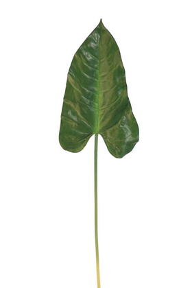 Yapay Exclusive Gala Çiçeği Dalı 94 cm - 2