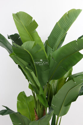 Yapay Ağaç 3 Gövde Tropik 21 Yapraklı Muz Gerçek Doku 200 cm - 5