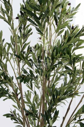 Yapay Zeytin Ağacı 3 Gövdeli Zeytin Bahçesi 215 cm - 3