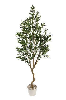Yapay Premium Zeytin Ağacı Lüx Orjinal Gövde 190 cm - 2