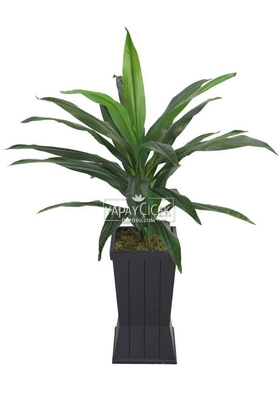 Saksılı Yapay Ağaç Premium Drecina Ağacı 130cm Dracaena Plant (Yeşil) - 2