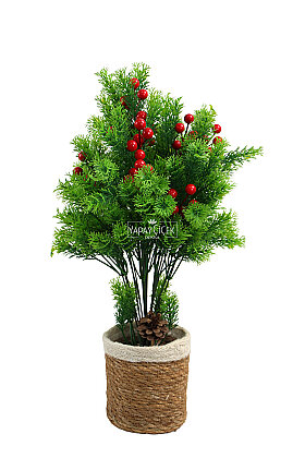 Yapay Çiçek Hasır Saksıda Forêt Çam Kokina Tanzimi 50 cm - 3