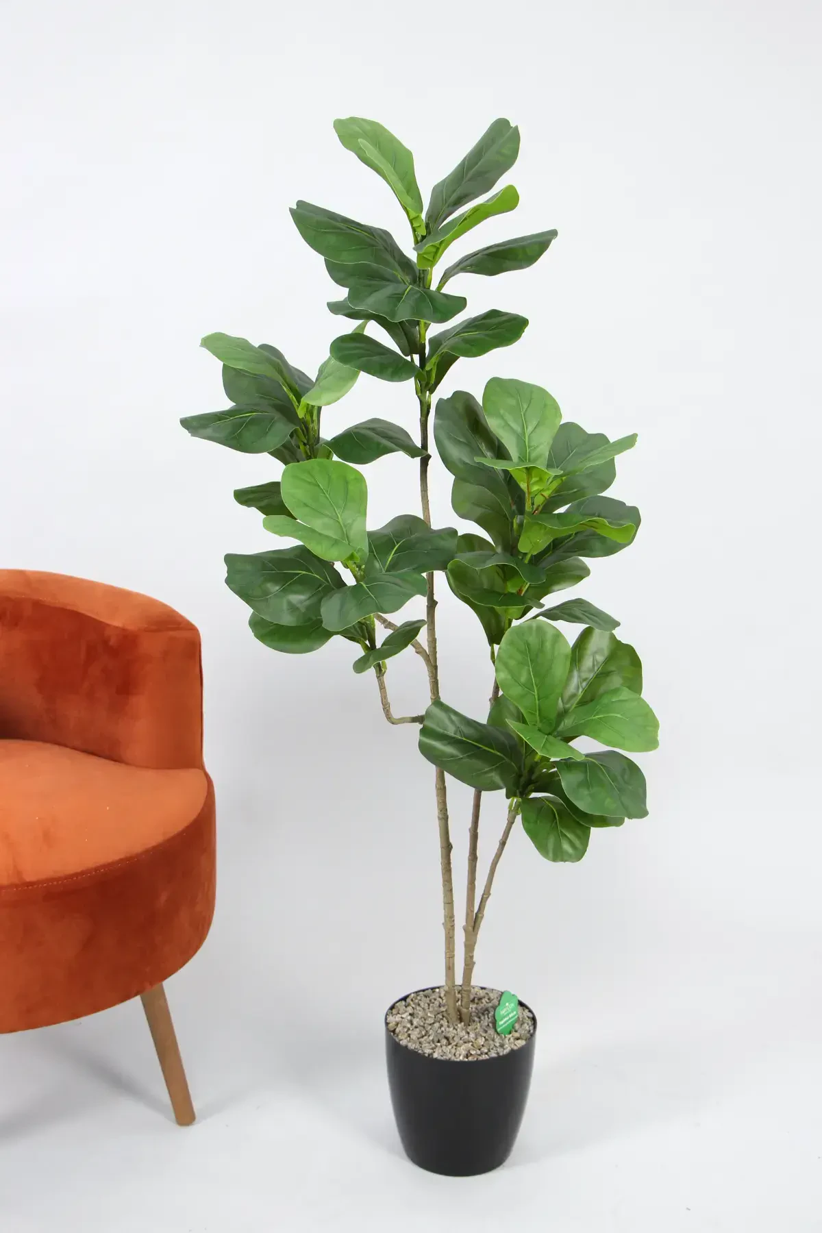 Yapay Ağac Keman 5 Gövdeli 130 cm - Yapay Çiçek Deposu