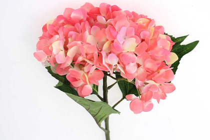 Yapay İri Kafa Premium Kaliteli Ortanca Dalı 83 cm Açık Pembe - 2