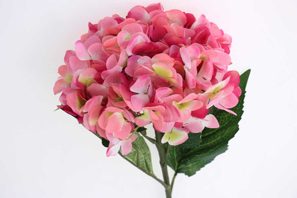 Yapay İri Kafa Premium Kaliteli Ortanca Dalı 83 cm Koyu Pembe - 2
